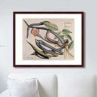 картина: exotic plants of the world №12, 1815г. в Екатеринбурге