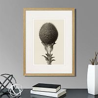 картина: botanical philosophy of forms №6, 1912г. в Екатеринбурге