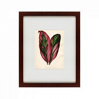 картина: botanical leaf dracaena, 1870 в Екатеринбурге