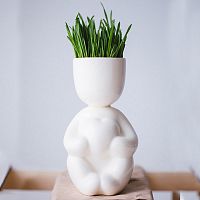 набор для выращивания eco романтик в Екатеринбурге