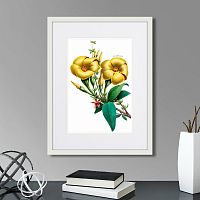 картина: caribian flora yellow allamanda, 1740г. в Екатеринбурге