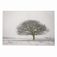 принт wood на подрамнике в Екатеринбурге