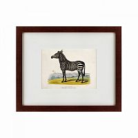 картина: a zebra, 1830 в Екатеринбурге
