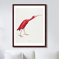 картина: scarlet ibis, 1827г. в Екатеринбурге