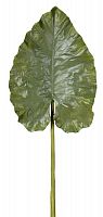 декор giant taro leaf в Екатеринбурге