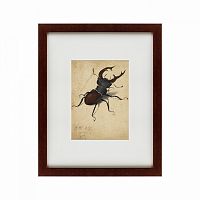 картина: stag beetle, 1505 в Екатеринбурге