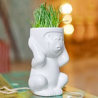горшок для растений eco игнорик в Екатеринбурге