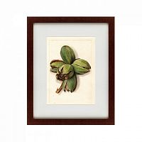 картина: watercolor collection, drawing №1, 1909 в Екатеринбурге