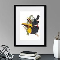 картина: toucans №1, 1849г. в Екатеринбурге