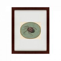 картина: spider, 1690 в Екатеринбурге
