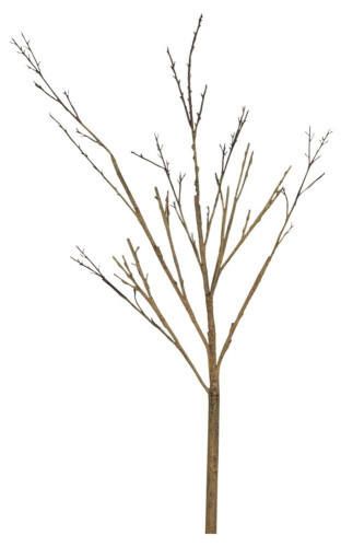 декор twig stem в Екатеринбурге