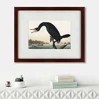 картина: florida cormorant, 1835 в Екатеринбурге