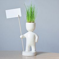 набор для выращивания eco знаменосец в Екатеринбурге