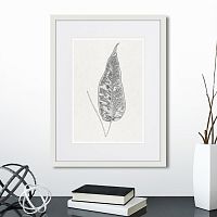 картина: the fern collection №5 в Екатеринбурге