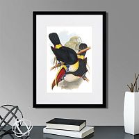 картина: toucans №2, 1849г. в Екатеринбурге