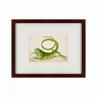 картина: green iguana, 1701 в Екатеринбурге