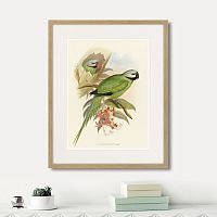 картина: love parrots ii, 1851г. в Екатеринбурге