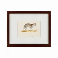 картина: an ocelot, 1801 в Екатеринбурге