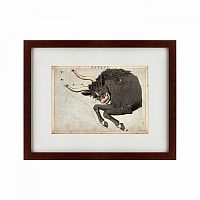 картина: signs of zodiac taurus, 1825 в Екатеринбурге