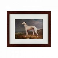 картина: portrait of a greyhound, 1744 в Екатеринбурге