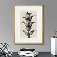 картина: botanical philosophy of forms №7, 1912г. в Екатеринбурге