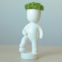 набор для выращивания eco футболист в Екатеринбурге