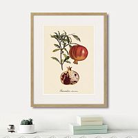 картина: juicy fruit lithography №7, 1870г. в Екатеринбурге