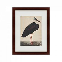 картина: black stork in a landscape, индия, 1780 в Екатеринбурге