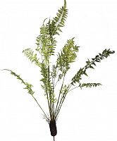декор fern plant в Екатеринбурге