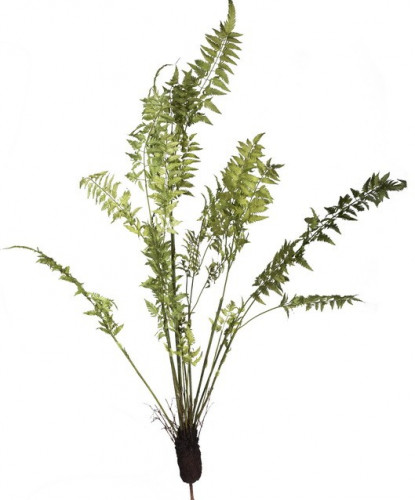 декор fern plant в Екатеринбурге