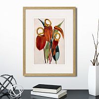 картина: exotic plants of the world №15, 1815г. в Екатеринбурге