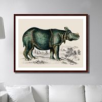 картина: rhinoceros, 1774г. в Екатеринбурге