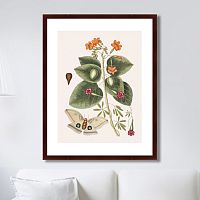 картина: beauty bloom №4, 1732г. в Екатеринбурге