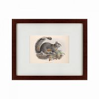 картина: the squirrel, 1879 в Екатеринбурге