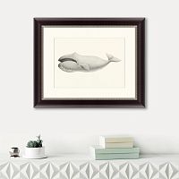 картина: bowhead whale (balaena mysticetus), 1856 в Екатеринбурге