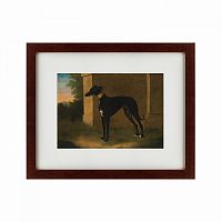 картина: portrait of a greyhound called pompon, 1746 в Екатеринбурге