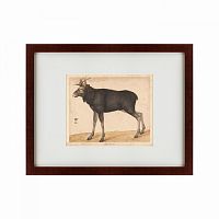картина: moose, 1560 в Екатеринбурге