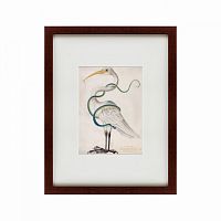 картина: heron encircled by a snake, 1700 в Екатеринбурге
