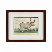 картина: cape ox, 1778 в Екатеринбурге