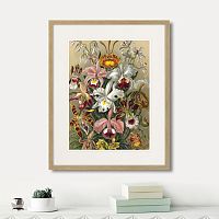 картина: art forms of nature №6, 1897г. в Екатеринбурге