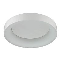 потолочный светодиодный светильник odeon light sole 4062/50cl в Екатеринбурге