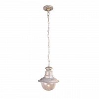 уличный подвесной светильник arte lamp amsterdam a1523so-1wg в Екатеринбурге