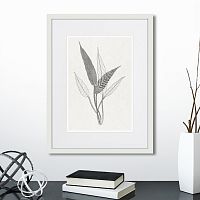 картина: the fern collection №6 в Екатеринбурге